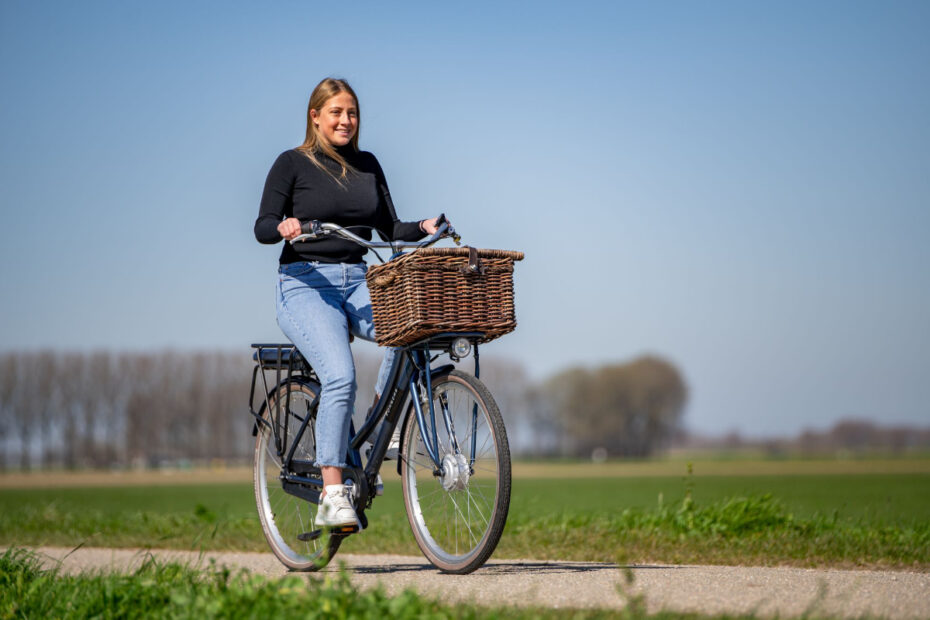 beste elektrische fietsen